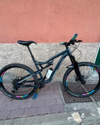 Bici da enduro