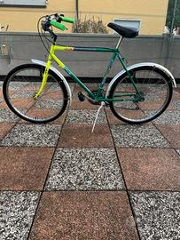 Bicicletta da passeggio - Rampichino