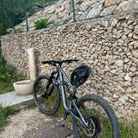 mtb specialized status 2021