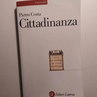 diritto costituzionale