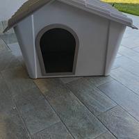 casetta per cani 