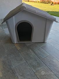 casetta per cani 