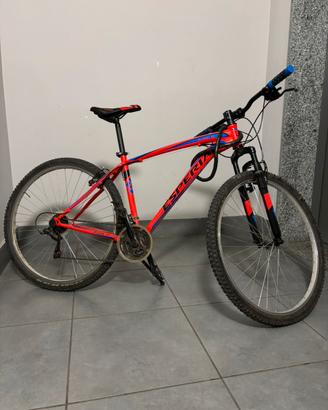 Bici adulto mountain bike