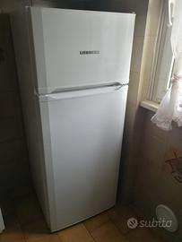 Feigorifero e cucina con forno