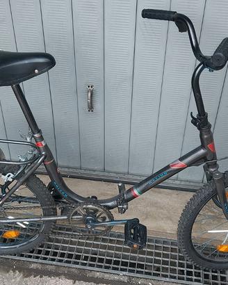 bicicletta  graziella