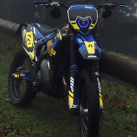 Sherco 125