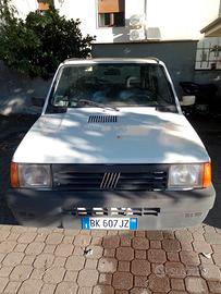 Panda young del 2000