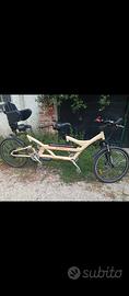 Bicicletta elettrica