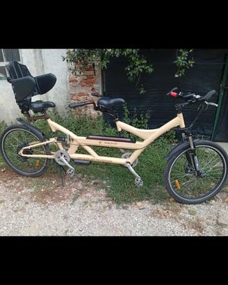 Bicicletta elettrica