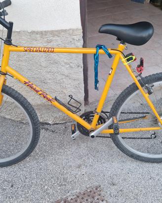 bicicletta 