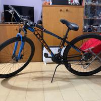 Bicicletta mountain bike