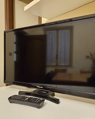 TV-Monitor Panasonic 24''