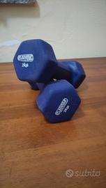 2 pesi Rovera da 2kg l'uno 