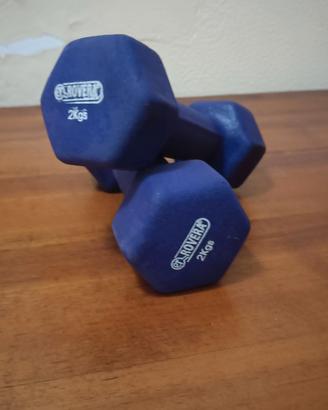 2 pesi Rovera da 2kg l'uno 