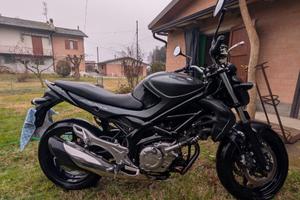 Suzuki SFV Gladius 650 - 2015