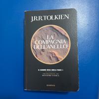 La compagnia dell'anello
