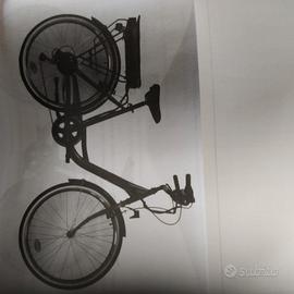 bici pedalata assistita