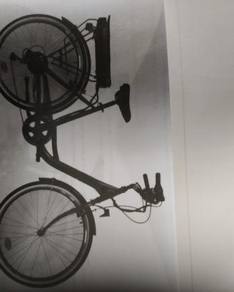 bici pedalata assistita