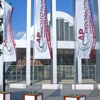 BANDIERE CON ASTA TELESCOPICA