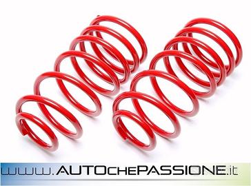 Kit molle sportive Ta Tecnix per Peugeot 106 1C 91