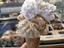 Immagine 13