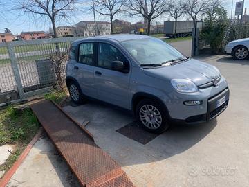 Fiat Panda 1.0 FireFly S&S Hybrid Pandina