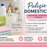 Collaboratrice domestica