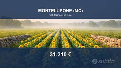 Immobile in asta di 24660 m² a Montelupone