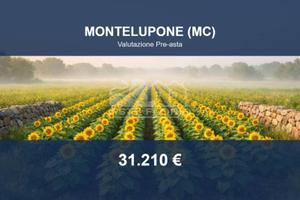 Immobile in asta di 24660 m² a Montelupone