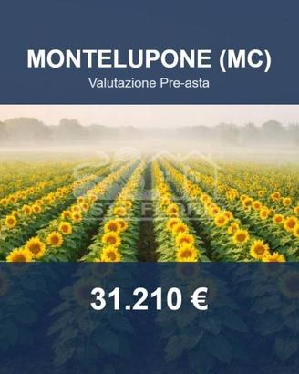 Immobile in asta di 24660 m² a Montelupone