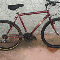 Mountain Bike MTB O'Neal Magnani
