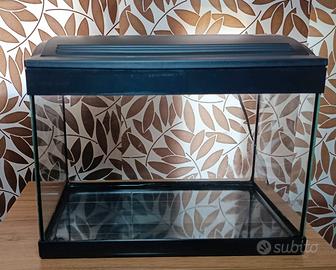 Acquario come nuovo con lampada ed interrutore