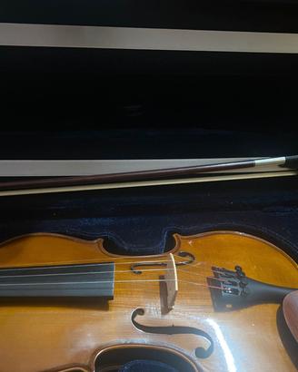 violino