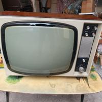 Televisore Telefunken modello T36E19