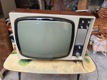 Televisore Telefunken modello T36E19