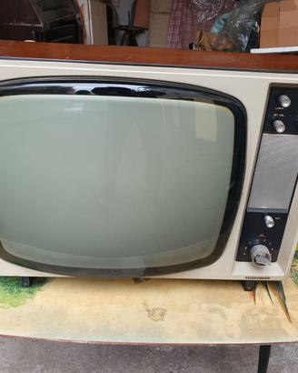 Televisore Telefunken modello T36E19