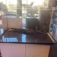 Acquario marino 160 litri usato SOLO VASCA