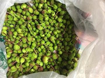 Capperi freschi e sotto sale