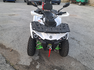 Quad Lem Hammer targa gialla