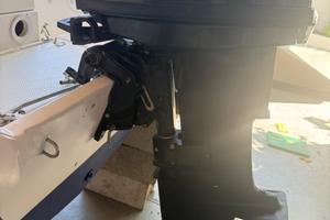 Motore mercury 25 cv