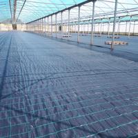 Tela antialghe- pacciamante, per coltivazione