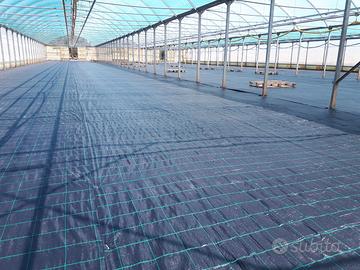 Tela antialghe- pacciamante, per coltivazione