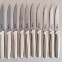 N. 10 coltelli Pedrini