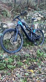 Bici whistle B- rush mod C 6.1E