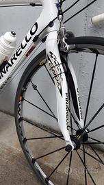 Bici da corsa, Pinarella