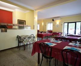 ATTIVITÀ DI PIZZERIA (Cod. Brescia 234)