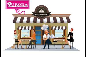 AVVIATISSIMA ATTIVITA' di RISTORANTE