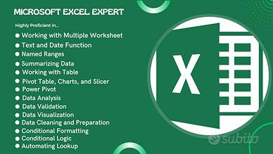 Esperto Excel per Automazione e Gestione Dati