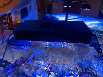 Lamoada led acquario marino