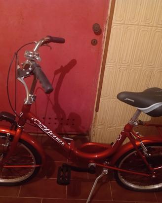 Bicicletta da donna Bonin